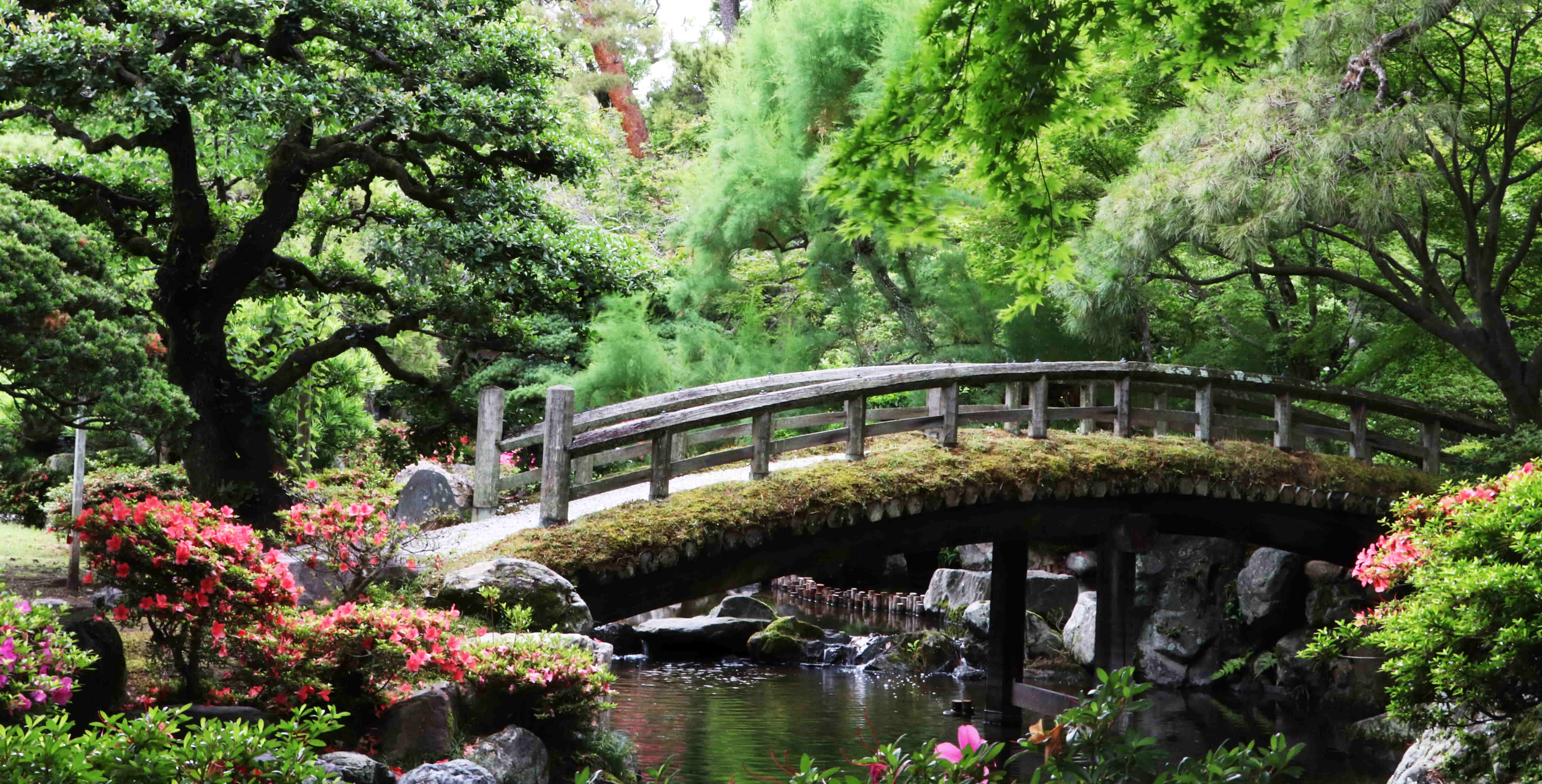 Bridge in a garden in Japan hatzav aviv photography